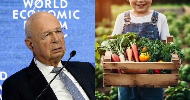 Το Παγκόσμιο Οικονομικό Φόρουμ (WEF) Απαιτεί την Απαγόρευση των Τροφίμων που Καλλιεργούνται στο Σπίτι… για να Σταματήσει η «Υπερθέρμανση του Πλανήτη»!!!