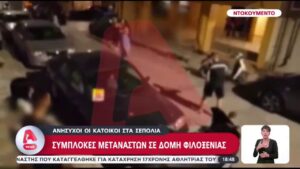 ΟΛΑ ΑΝΑΠΟΔΑ! Η καλλιέργεια μαύρου σπόρου του Αλλάχ στις δομές φιλοξένιας και αναπαραγωγής