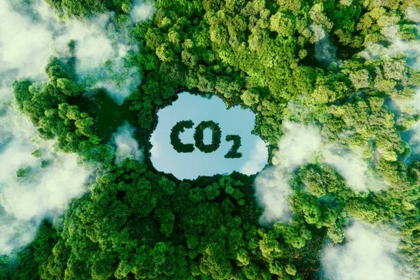 Το CO2 όχι απλά δεν καταστρέφει τον πλανήτη αλλά τον σώζει – τον κάνει πιο πράσινο, πιο παραγωγικό και ενισχύει την καλλιέργεια.
