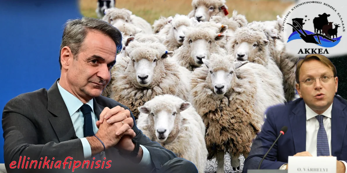 Αποκάλυψη βόμβα του ΑΚΚΕΛ για τη θανάτωση χιλιάδων αιγοπροβάτων με απόφαση της κυβέρνησης Μητσοτάκη: «ΔΕΝ επιβάλλεται από την Ε.Ε. η υποχρεωτική θανάτωση. Η κυβέρνηση έλεγε ψέματα καταστρέφοντας τους Έλληνες κτηνοτρόφους»…