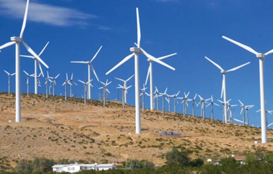 Υπάρχει εισαγγελέας σε αυτή τη χώρα; Γεμίζουν με αιολικά πάρκα τις καμένες περιοχές του Εβρου, στην περιοχή που η διοίκηση και το ΣτΕ έχουν απορρίψει για περιβαλλοντικούς λόγους!