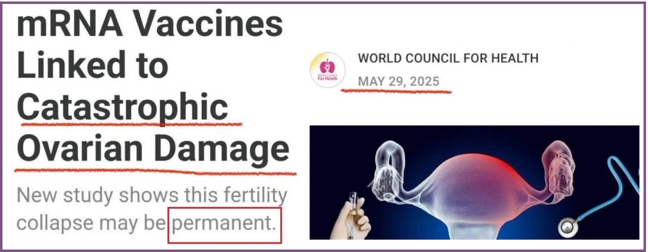 Οι ενέσεις mrna οδηγούν σε καταστροφική βλάβη των ωοθηκών