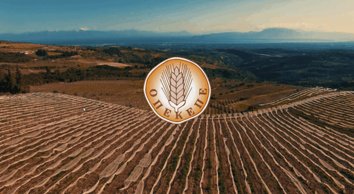 Υπόθεση ΟΠΕΚΕΠΕ: Η… αμαρτωλή περίπτωση της Αιτωλοακαρνανίας – Μίσθωσε ακόμη και χωράφια του υπουργείου