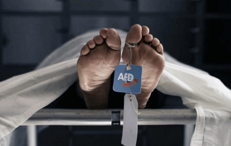 Μυστηριώδης σειρά θανάτων για 7 υποψήφιους του AfD