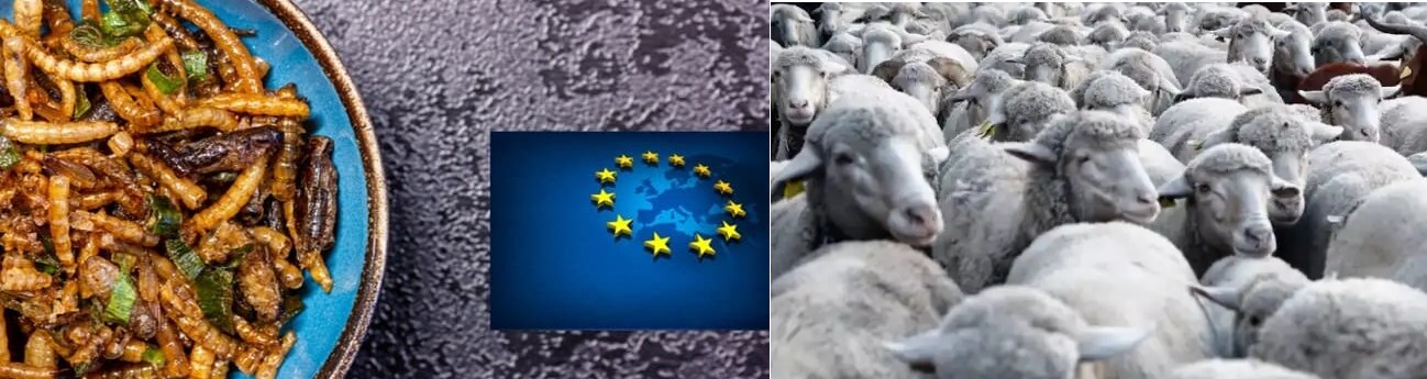 Αγροτιά στο απόσπασμα: Παραγωγοί και παράσιτα.