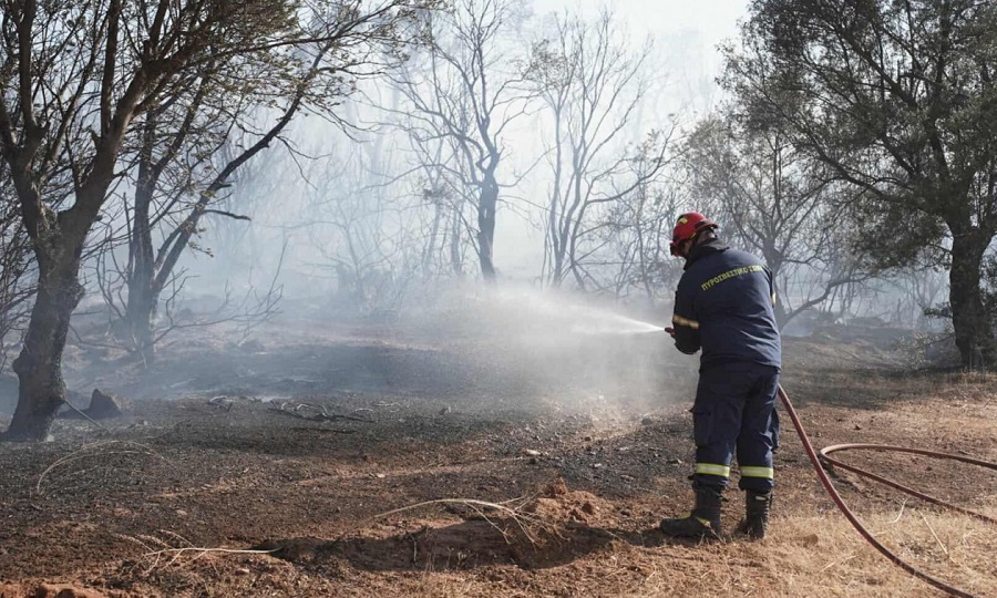 ΜΠΟΧΑ ΠΑΝΤΟΥ ΣΤΗΝ ΕΛΛΑΔΑ 2.0 – ΣΟΚ ΣΤΗΝ ΕΥΒΟΙΑ: ΕΡΕΥΝΕΣ ΓΙΑ ΔΙΑΣΠΑΘΙΣΗ ΕΥΡΩΠΑΪΚΩΝ ΚΟΝΔΥΛΙΩΝ – ΨΑΧΝΟΥΝ 6,5 ΕΚΑΤ. ΕΥΡΩ ΣΕ ΑΝΥΠΑΡΚΤΕΣ ΕΤΑΙΡΕΙΕΣ – ΠΡΟΟΡΙΖΟΝΤΑΝ ΓΙΑ ΠΥΡΟΠΛΗΚΤΟΥΣ