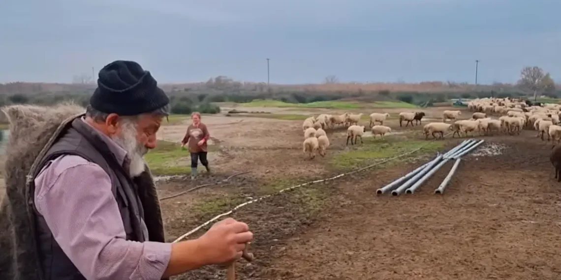 Το ελληνικό κράτος έχει ξεκάθαρα αναλάβει ρόλο εξολοθρευτή της κτηνοτροφίας. Ελευθέριος Ανδρώνης