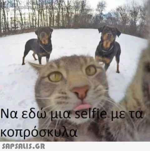 Στον Πόλεμο λες όπως οι Γερμανοί το ’45, ότι δεν γνώριζες!!!