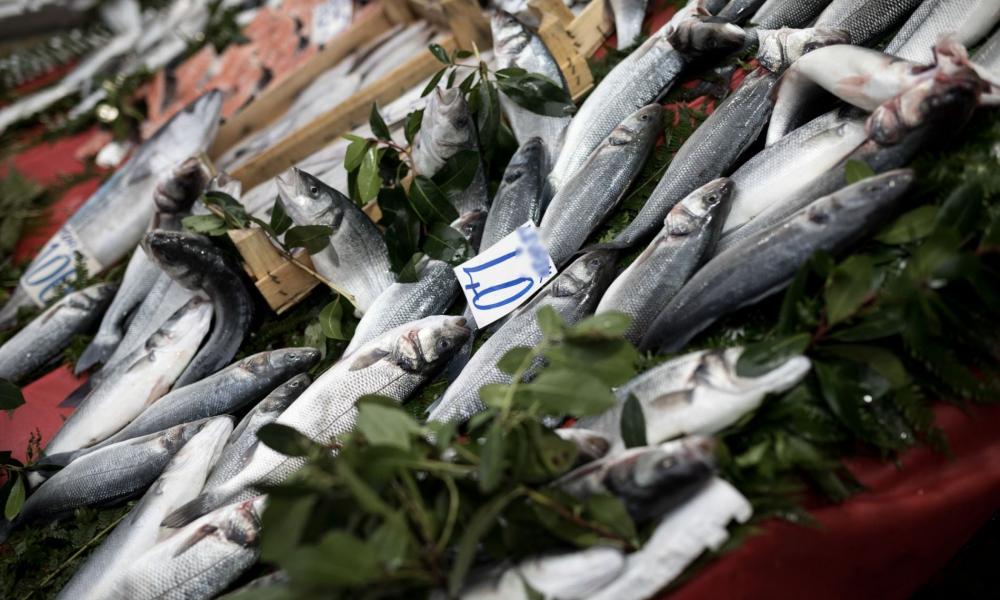 Η ΕΛΛΗΝΙΚΗ ΙΧΘΥΟΚΑΛΛΙΕΡΓΕΙΑ ΑΣΦΥΚΤΙΑ: Η ΚΥΒΕΡΝΗΣΗ ΑΦΗΝΕΙ ΤΑ ΤΟΥΡΚΙΚΑ ΨΑΡΙΑ ΝΑ ΚΥΡΙΑΡΧΟΥΝ ΣΤΗΝ ΑΓΟΡΑ – ΔΙΑΛΥΟΥΝ ΤΗΝ ΕΓΧΩΡΙΑ ΑΓΟΡΑ ΓΙΑ ΧΑΡΗ ΤΩΝ ΜΗΧΑΝΟΤΡΑΤΩΝ ΠΟΥ ΕΧΟΥΝ ΦΤΑΣΕΙ ΣΤΗ ΜΥΚΟΝΟ