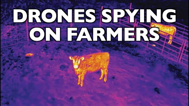 Θερμικά drones Κυνηγούν τα Βοοειδή των Γάλλων αγροτών – Η Ρωσία Σφάζει Ζώα