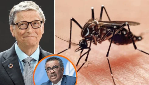 Ρε τον Μπίλι και τα κουνούπια τέρατα